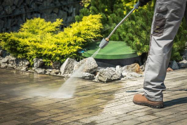 Best Animal Enclosure Cleaning  in Northwest Harwinton, CT